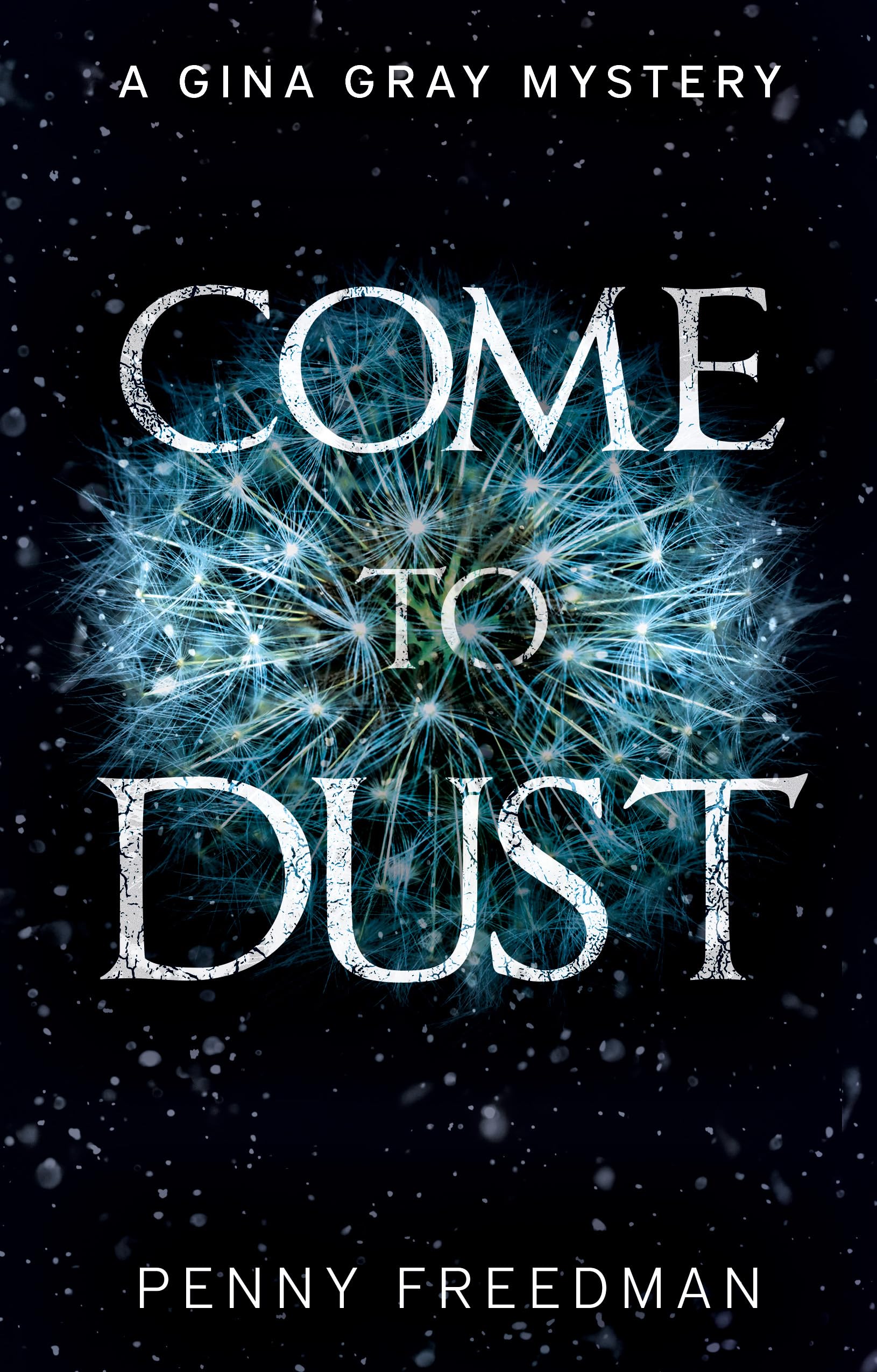 Come to Dust by Penny Freedman PAPERBACK 9781805145400