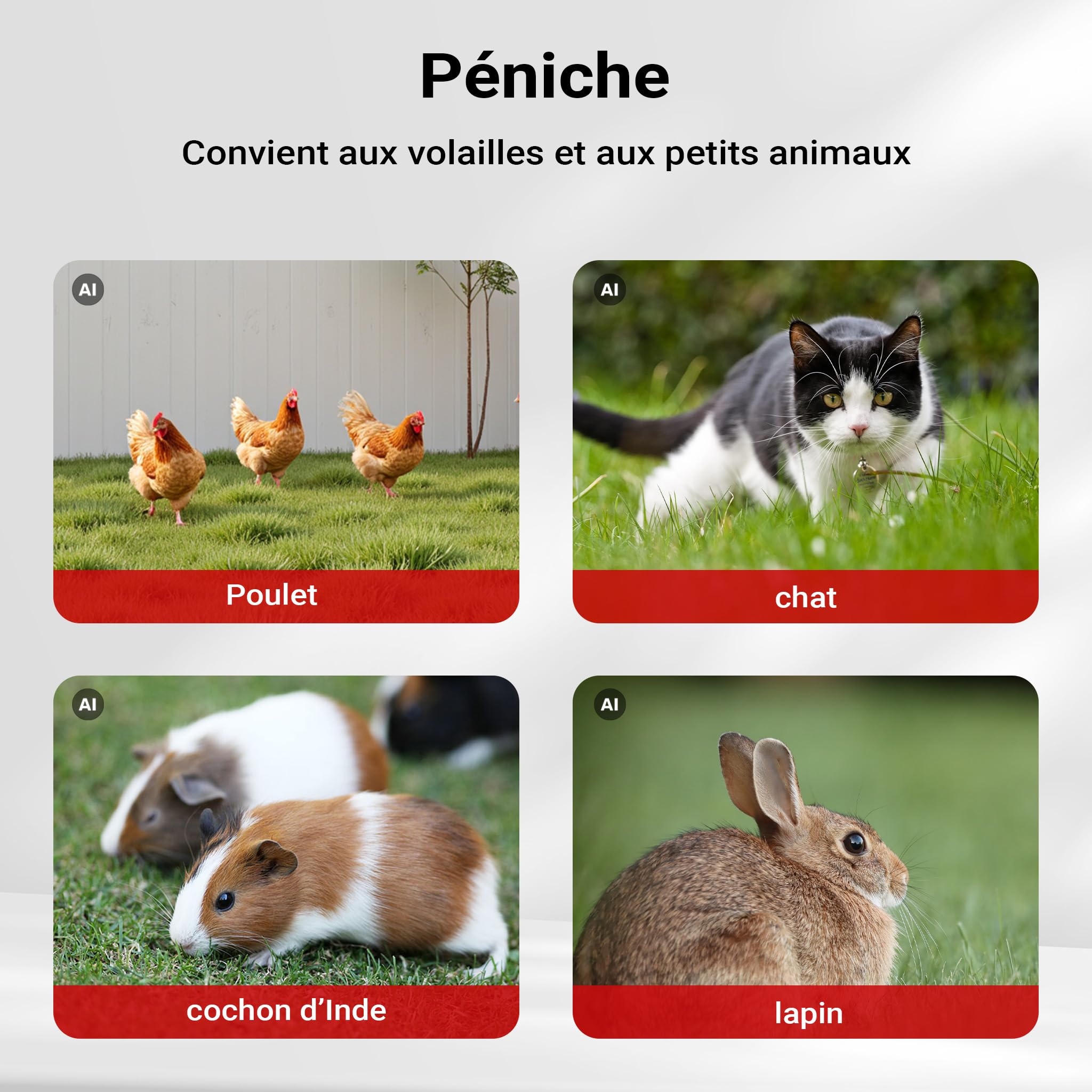 Wiltec Poulailler avec Nichoir, Enclos & Pondoir – 1155 x 520 mm – en Bois Sapin – Toit bitumé – avec Grillage et Bac à crottes – Maison pour Petits Animaux, Poules, volaille Clapier