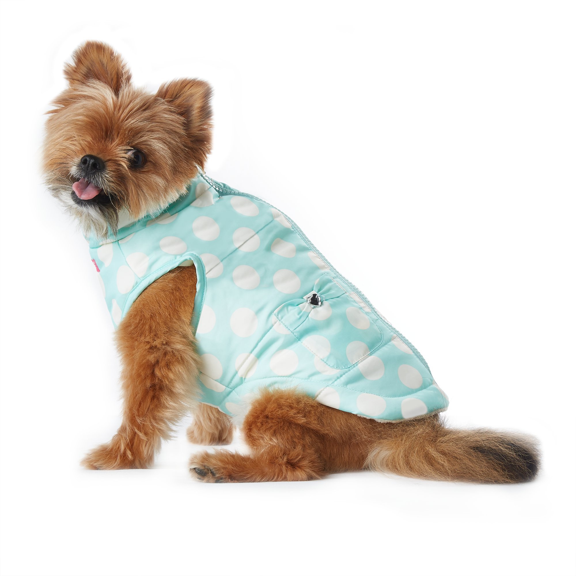 Smoochie Pooch Blue Dot Bomber Jacket, Extra Small, X-Small