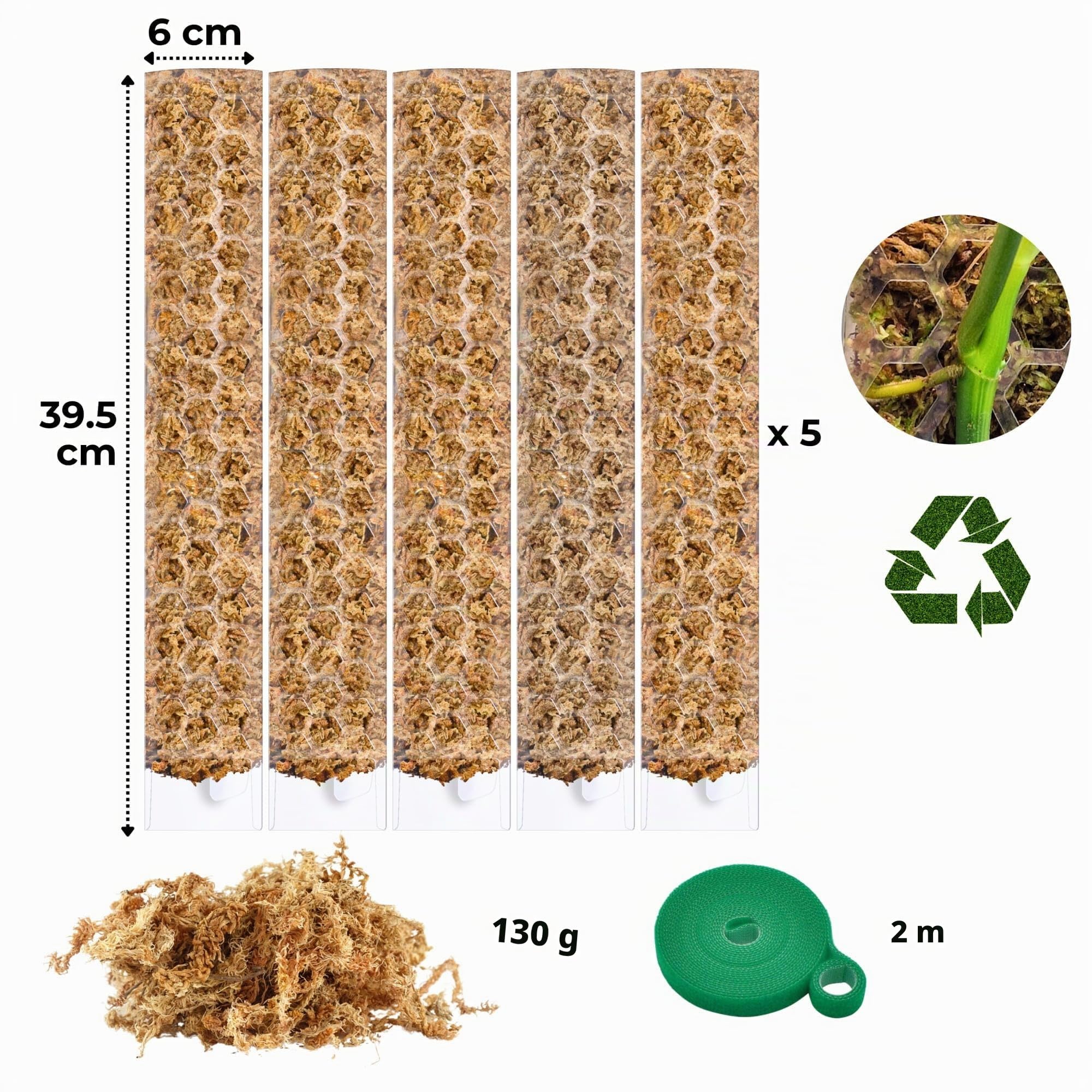tuteur en sphaigne pour Monstera - Lot de 5 Tuteurs 39 x 6 cm Extensibles en Mousse de sphaigne - Idéal pour Monstera deliciosa et aroïdes - Supports en Mousse pour Plantes grimpantes
