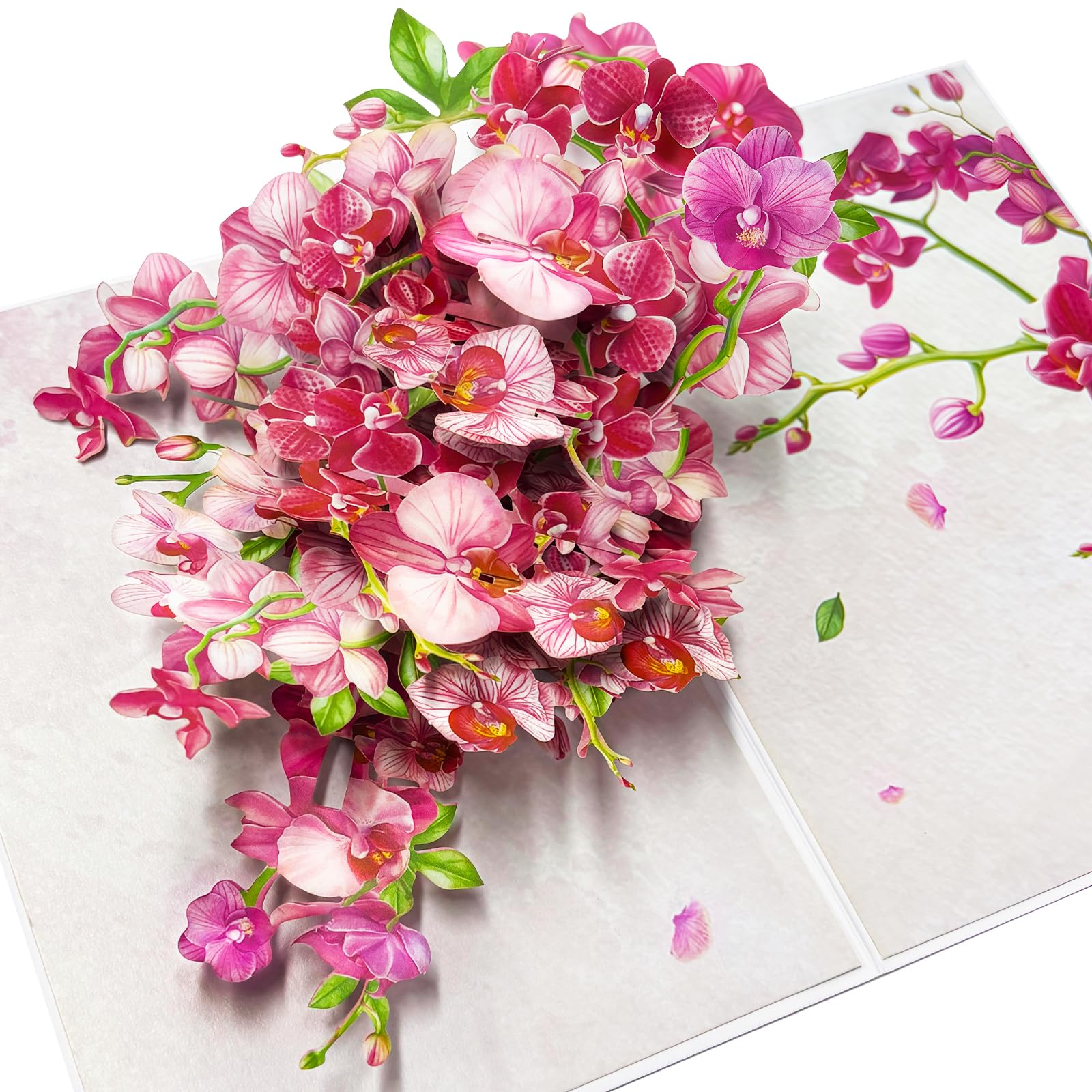 YianHien 3D Birthday Cards for Women, Orchid Flower Pop Up Birthday Card for Mum Wife Auntie Sister Daughter Special Friend Female, Wedding Anniversary Card for Wife, Valentine's Day Mothers Day Card