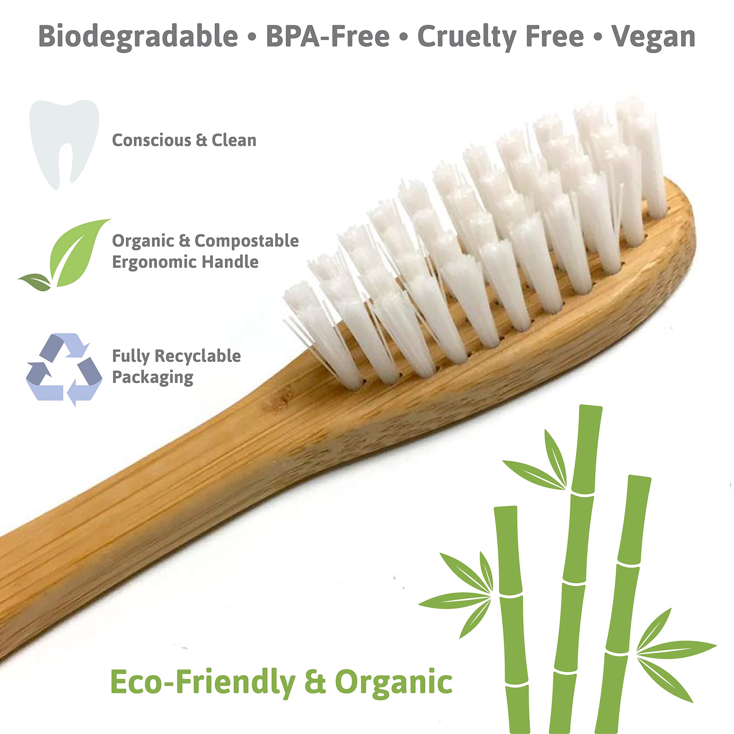 Confezione da 32 spazzolini da denti in bambù bianco con setole sbiancanti naturali e infuse di carbone – senza BPA, biodegradabili, setole senza colla, sane ed ecologiche.