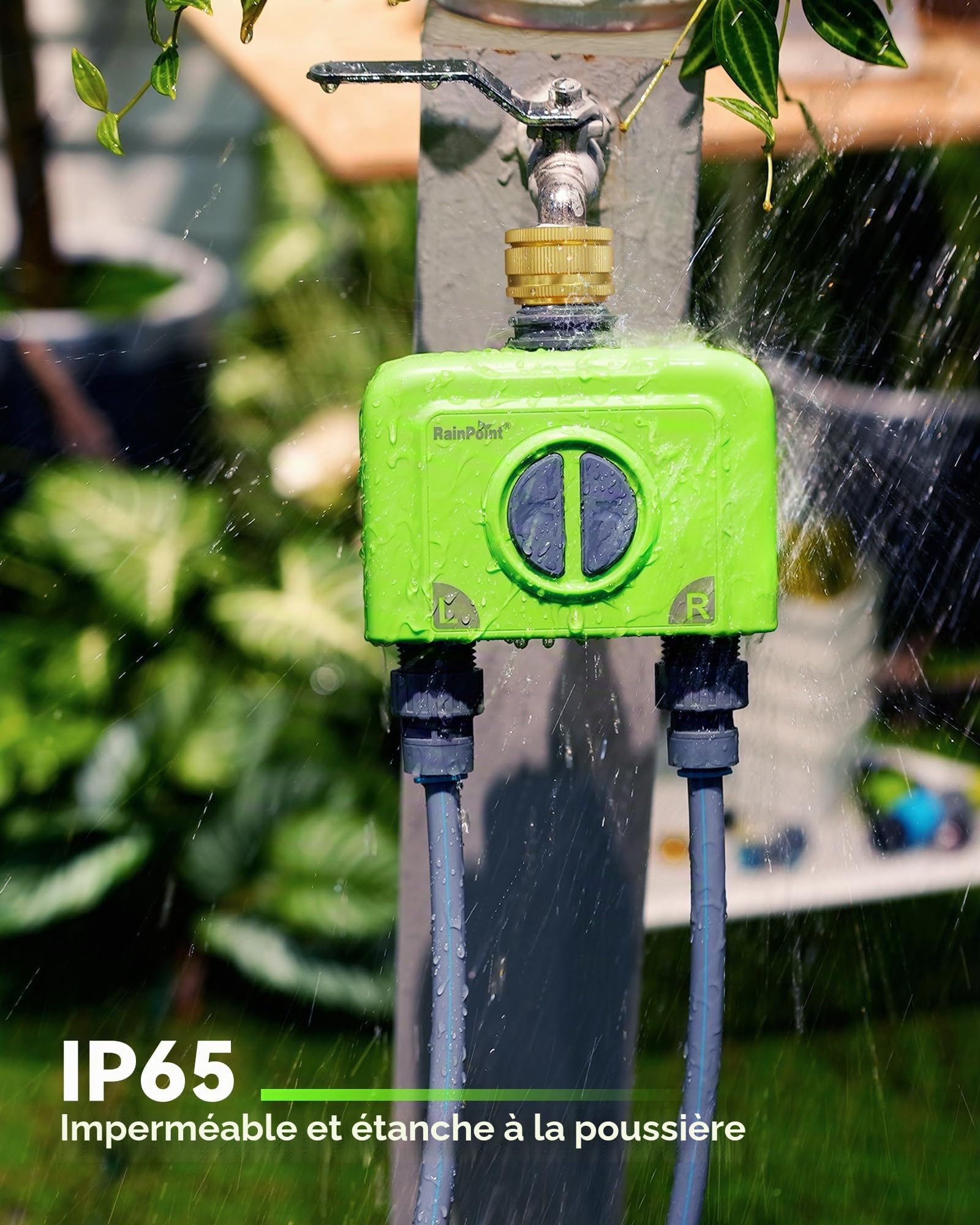 RAINPOINT Programmateur Arrosage WiFi 2 Voies IP65 Minuteur Arrosage Automatique Entrée en Laiton