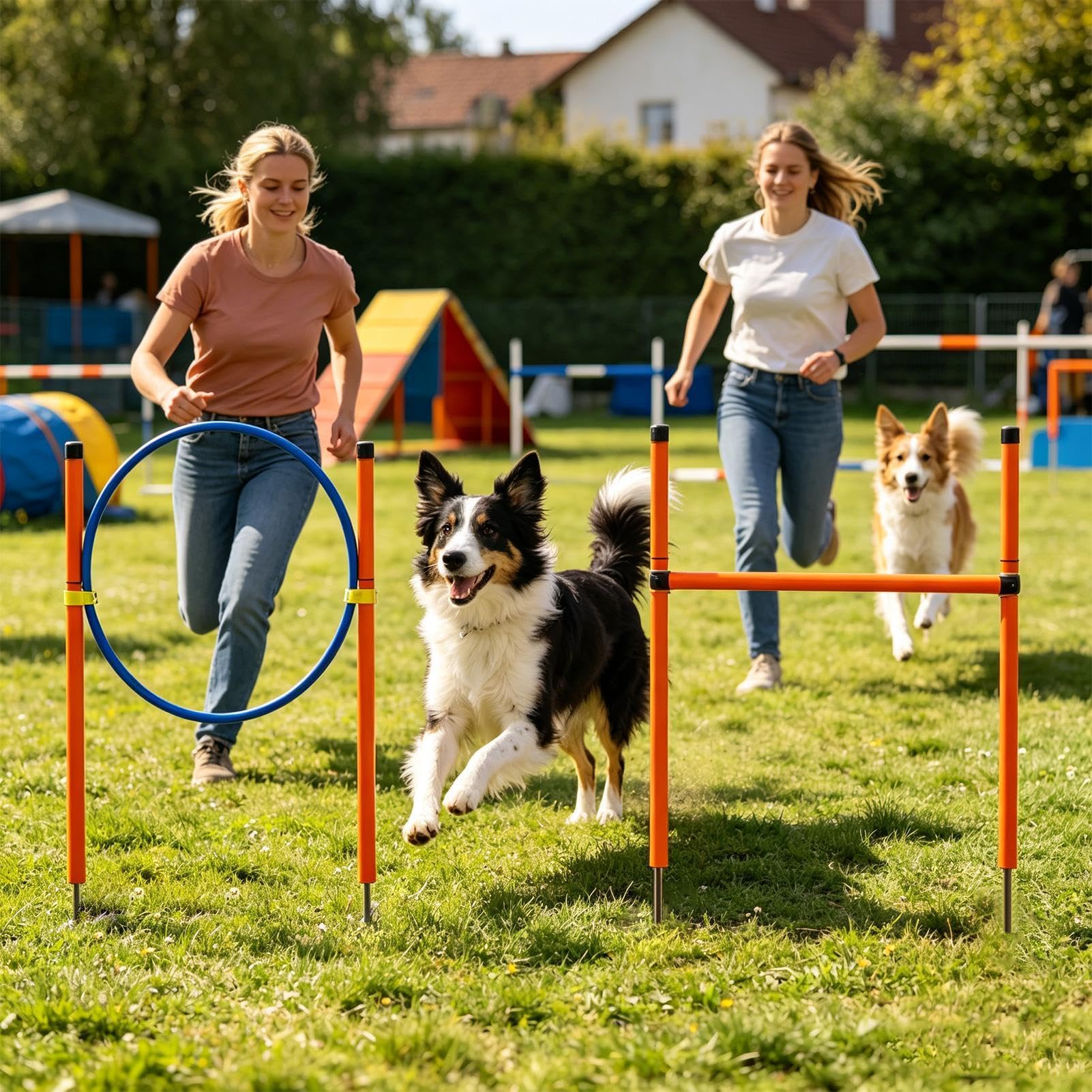 Equipo de Agilidad Canino Juego de Agilidad con | equipo lúdico para perros en el jardín Para recreación competición campo zona lúdica playa parque jardín y