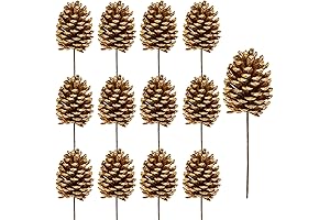 Winlyn 12 Pcs Gold Pine Cone Picks, Christmas Natural Pinecone Sprays
