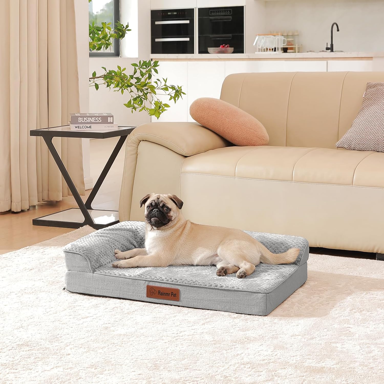 The Ultimate Comfort: Review of the Orthopedic Memory Foam Dog Bed for Small to Medium Pups
