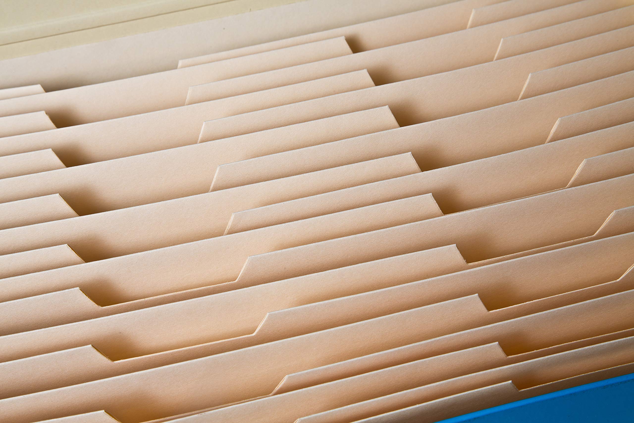 Buy DESKit Locking File Folder Organizer Expandable, Portable, Letter