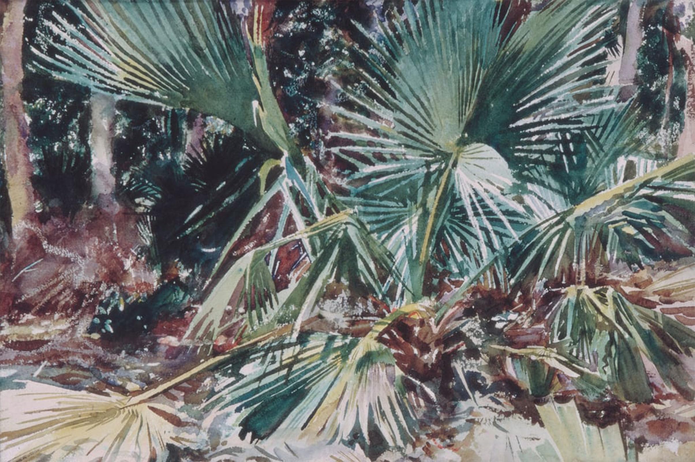 ARTXLXXBN Famous Art Print Poster Vintage Wall Art Palmettos by John Singer Sargent Canvas Art Poster for Home Decor 60x90cm