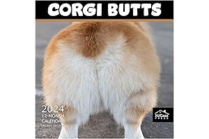 MICASA Shiba Inu Calendar 2024