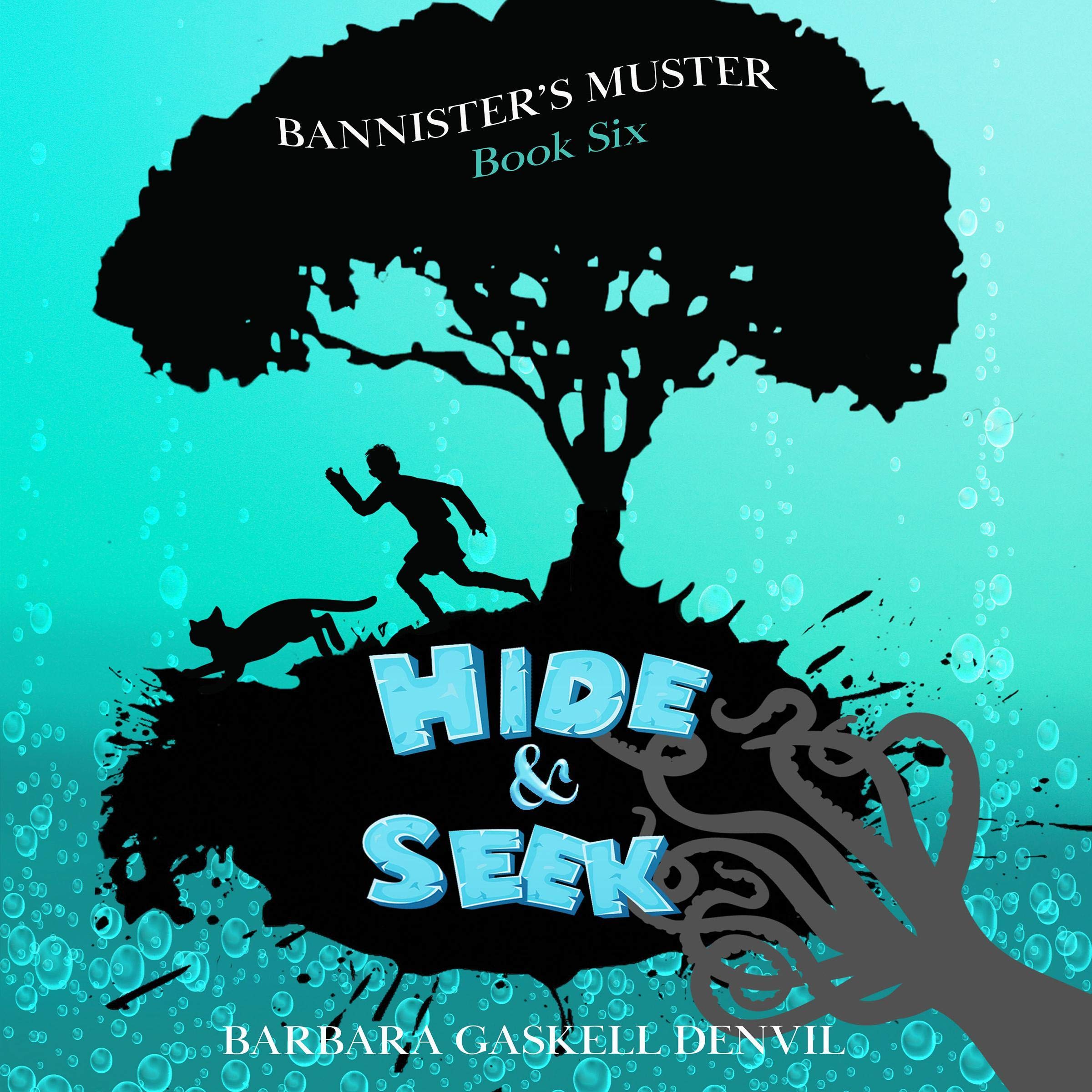 Cover art for Hide & Seek