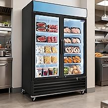 Glass Door Merchandiser Freezer 70 Cu.ft Swing Door Commercial Reach-In Display Freezers with LED Top Panel Upright Freeze Storage (Double-door version)