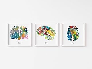 Neuroscience Art - Set of 3 Wall Art Prints - 8.5 x 8.5 Watercolor Art Prints - Neurology and Psychology Wall Art Office Decor - Graduation Gift Idea - Calming Medical Art Prints for Office Wall Decor Signed by J. Sayuri