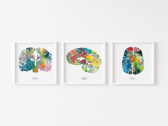 J. Sayuri Brain Anatomy Prints