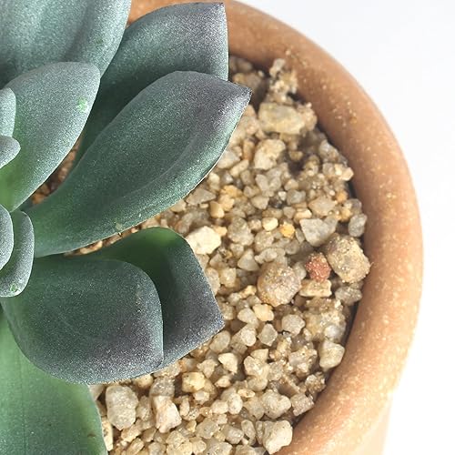 Miniatura 6 de 3 plantas suculentas artificiales en maceta, plantas suculentas falsas en maceta, plantas falsas en maceta, decoración de estantería de oficina