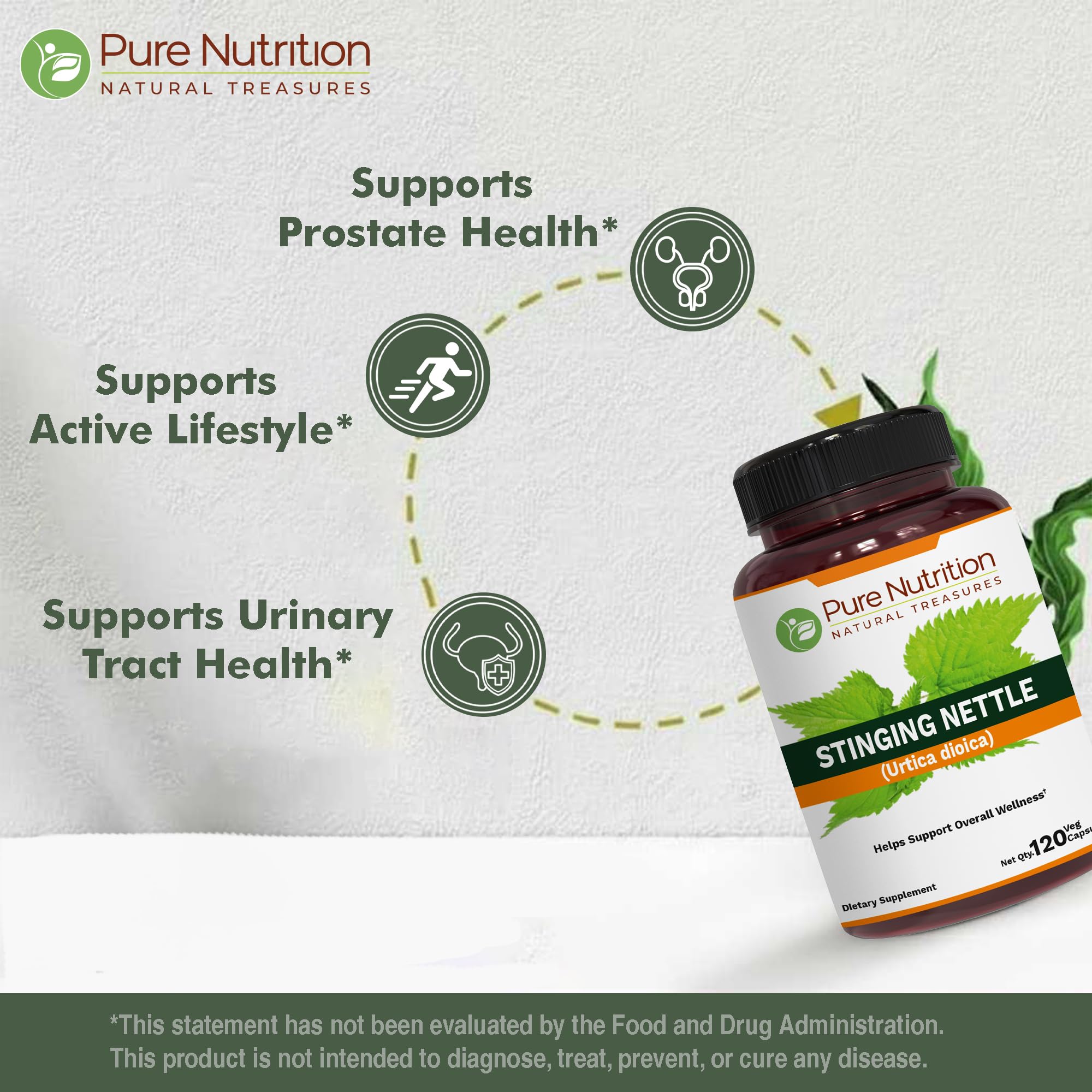 Pure Nutrition Stinging Nettle 20:1 Extract, 500mg per Caps | 120 Veg Caps | 4 Months Supply | Once Daily — Amazon image 3