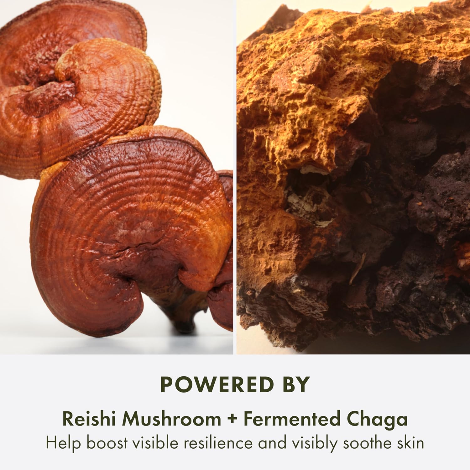 Origins Mega-Mushroom Hydra Burst Lightweight Moisturizer | Reduces Visible Redness | With Niacinamide & Reishi Mushroom, 1.7 Fl Oz - Image 5