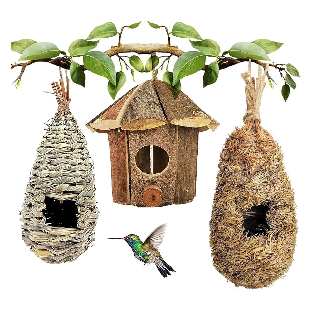  Birds　Dyynia 41VR5hghldL._SY200_QL15_.jpg