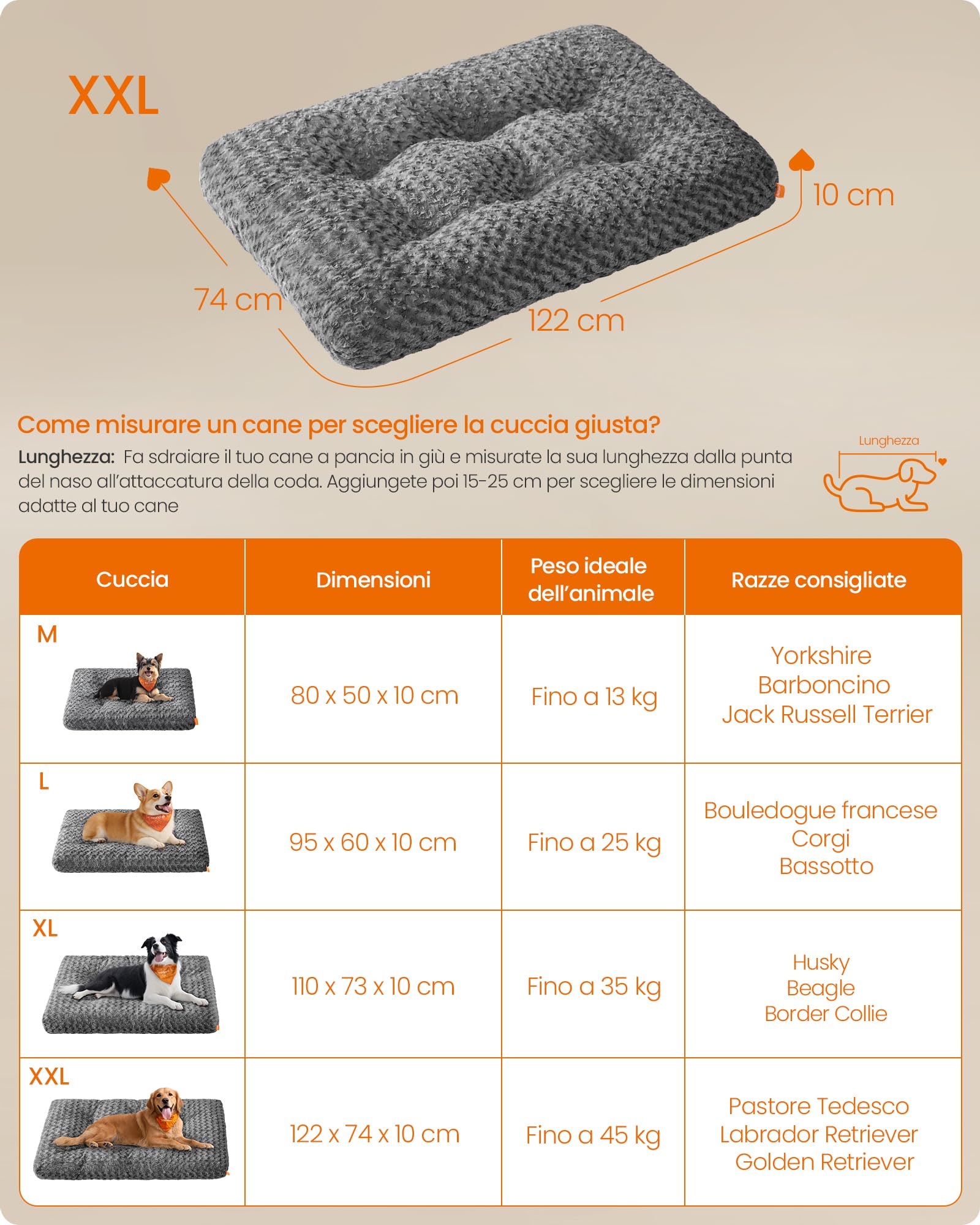 Feandrea Cuccia per Cani XXL Morbido Tappetino di Peluche 122 x 74 cm Lavabile Antiscivolo Grigio Ardesia