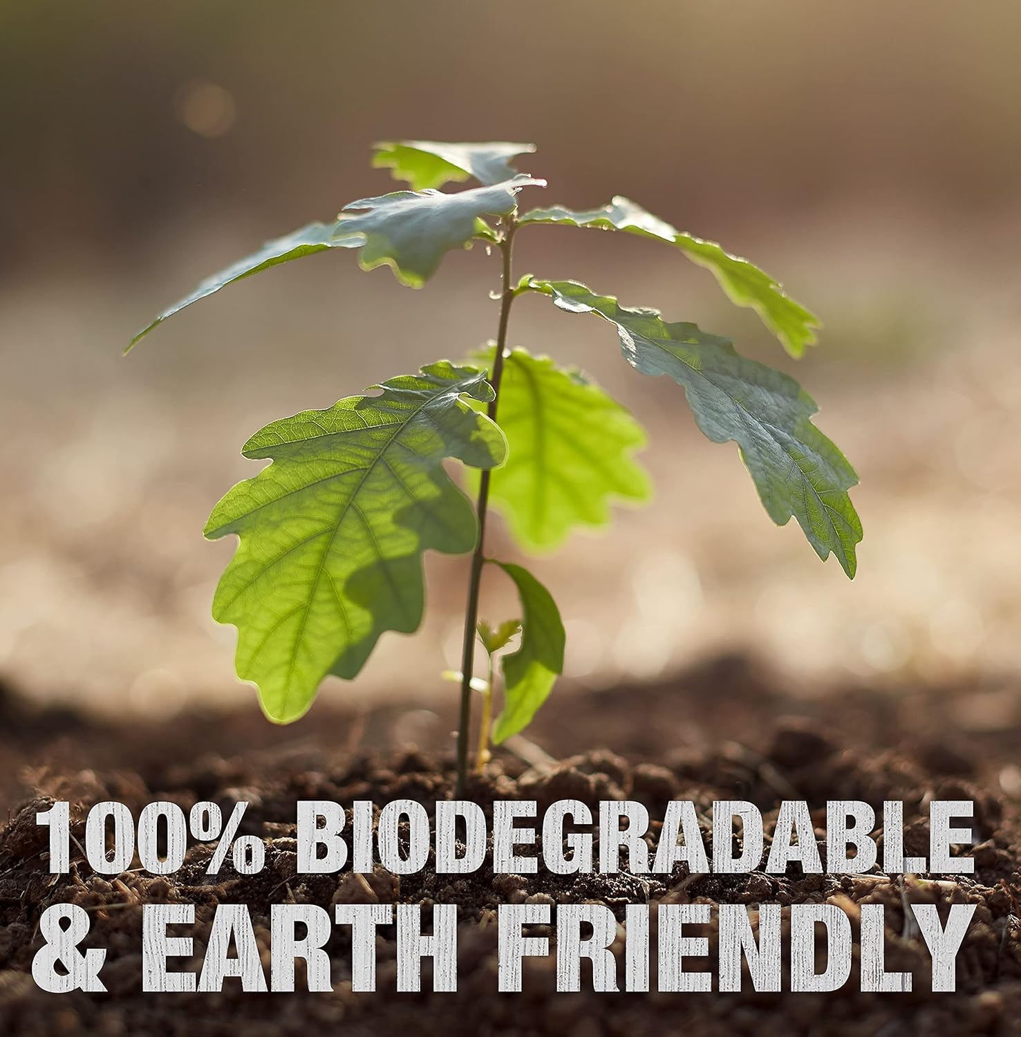 Everlit Survival Natural Bamboo Wet Wipes, Rinse-free Biodegradable Body Wipe for Traveling Camping, Gym,Outdoor Hygiene. Large 20 Count (1 Pack) : Health & Household