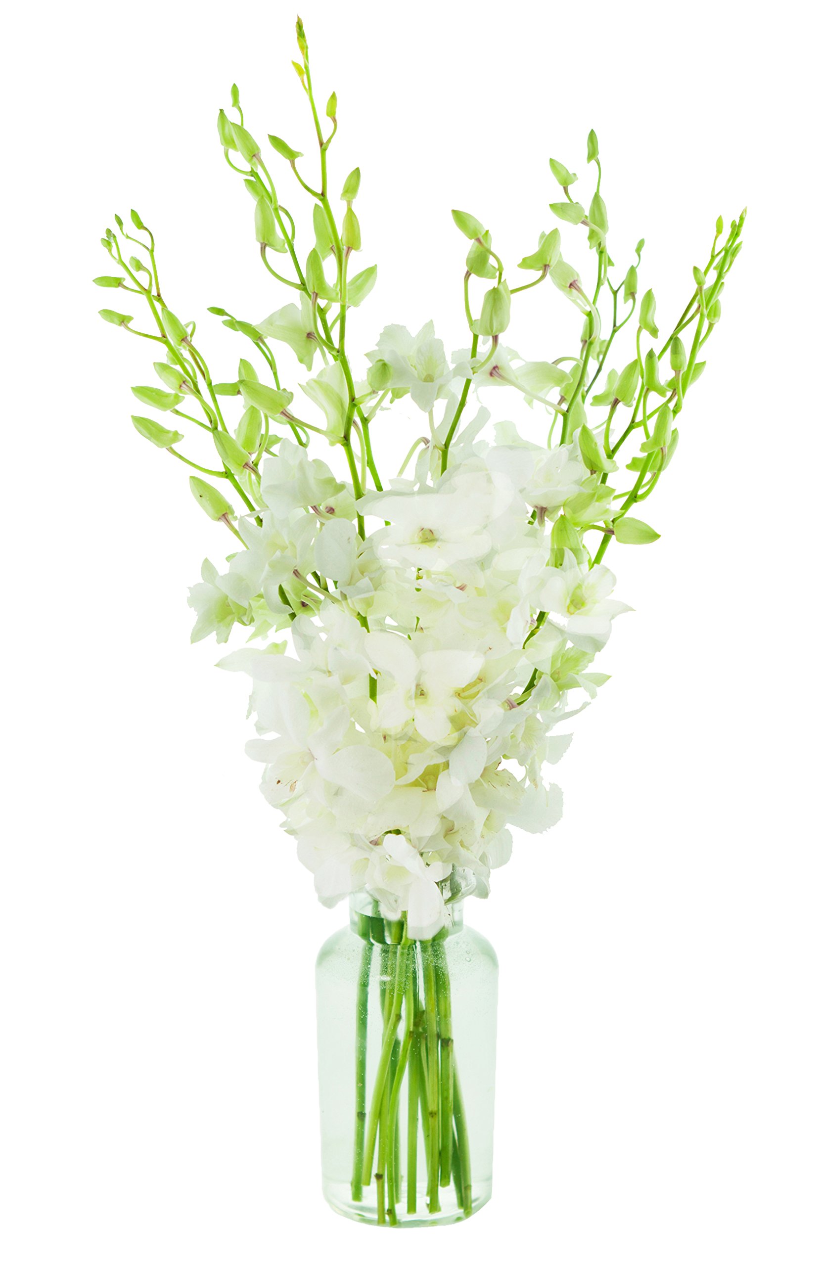 KaBloom-10 White Orchid Bouquet,Flowers for Valentine, Mother's Day