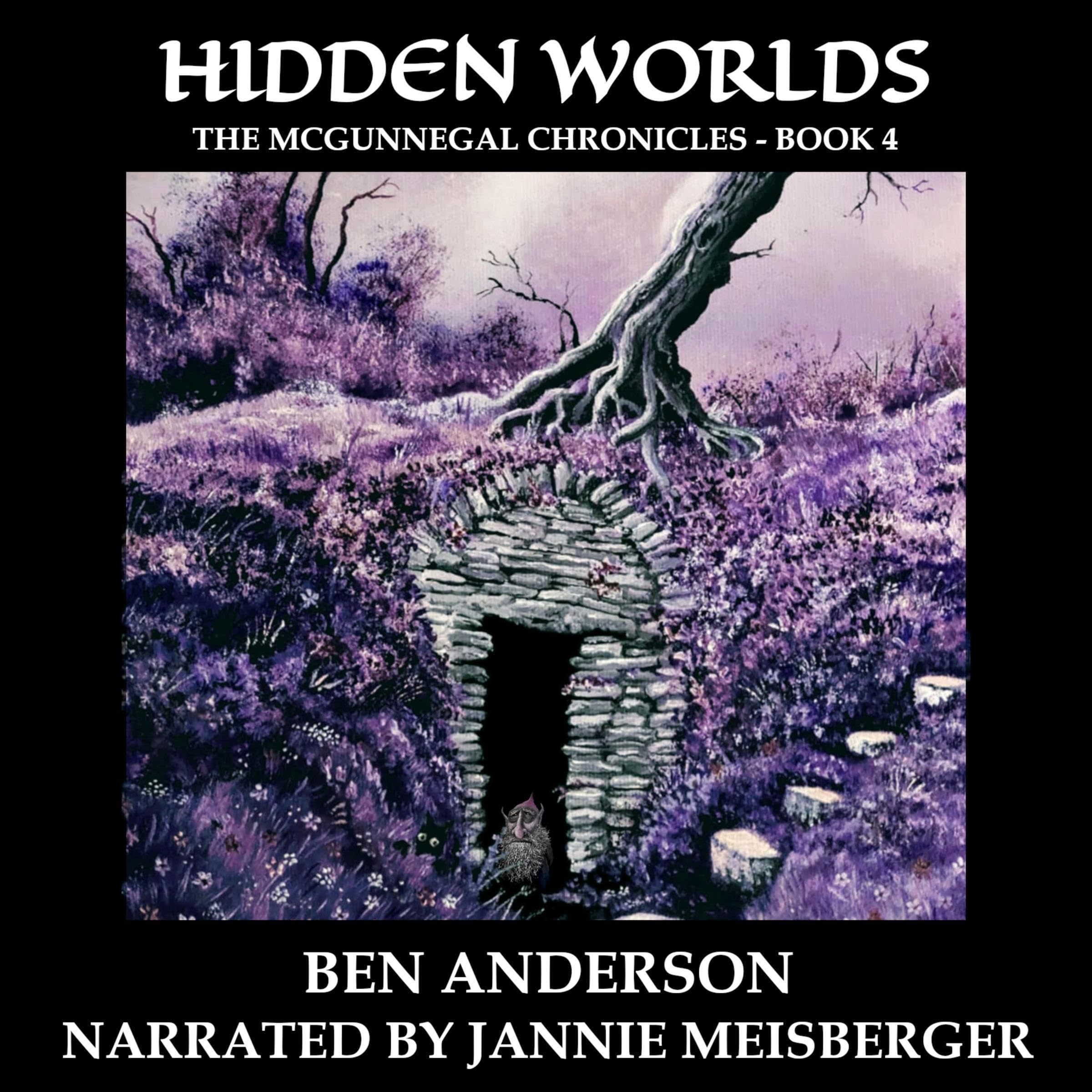 Hidden Worlds