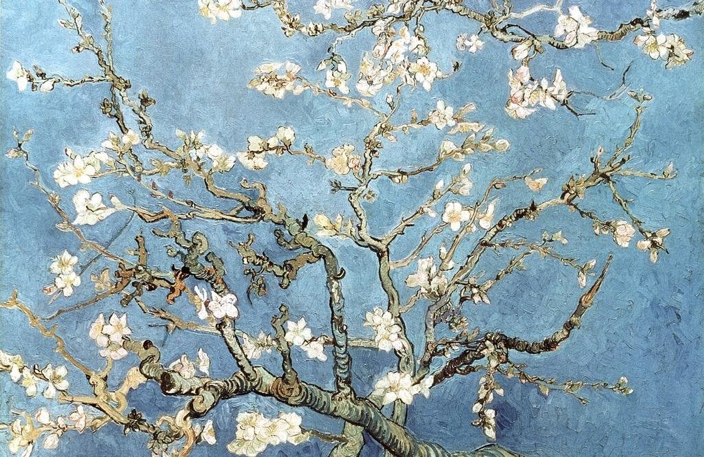 Vincent Van Gogh Almond Blossom Branches Post Impressionist Painter Artist Painting Cool Wall Art Print Poster 36x24