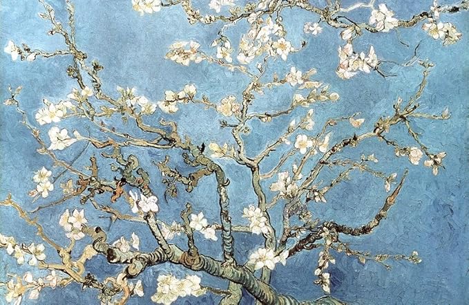 Vocalist of 3 Doors Down, Brad Arnold Dies 7 81dFOaypm6L. AC SX679 Vincent Van Gogh Almond Blossom Branches Post Impressionist Painter Artist Painting Cool Wall Art Print Poster 36x24