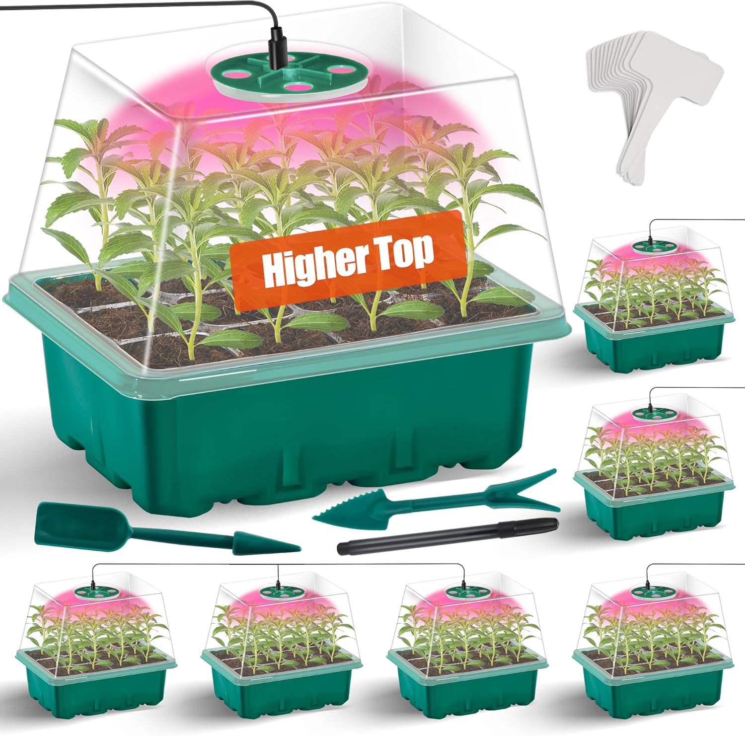 Amazon.com : Xpatee 6 PCS Seed Starter Tray with Dome, Seed Starter ...