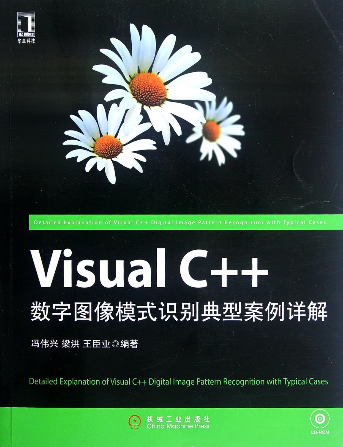 Amazon.com: Detailed Annotation of Typical Cases for Visual C++ Digital ...