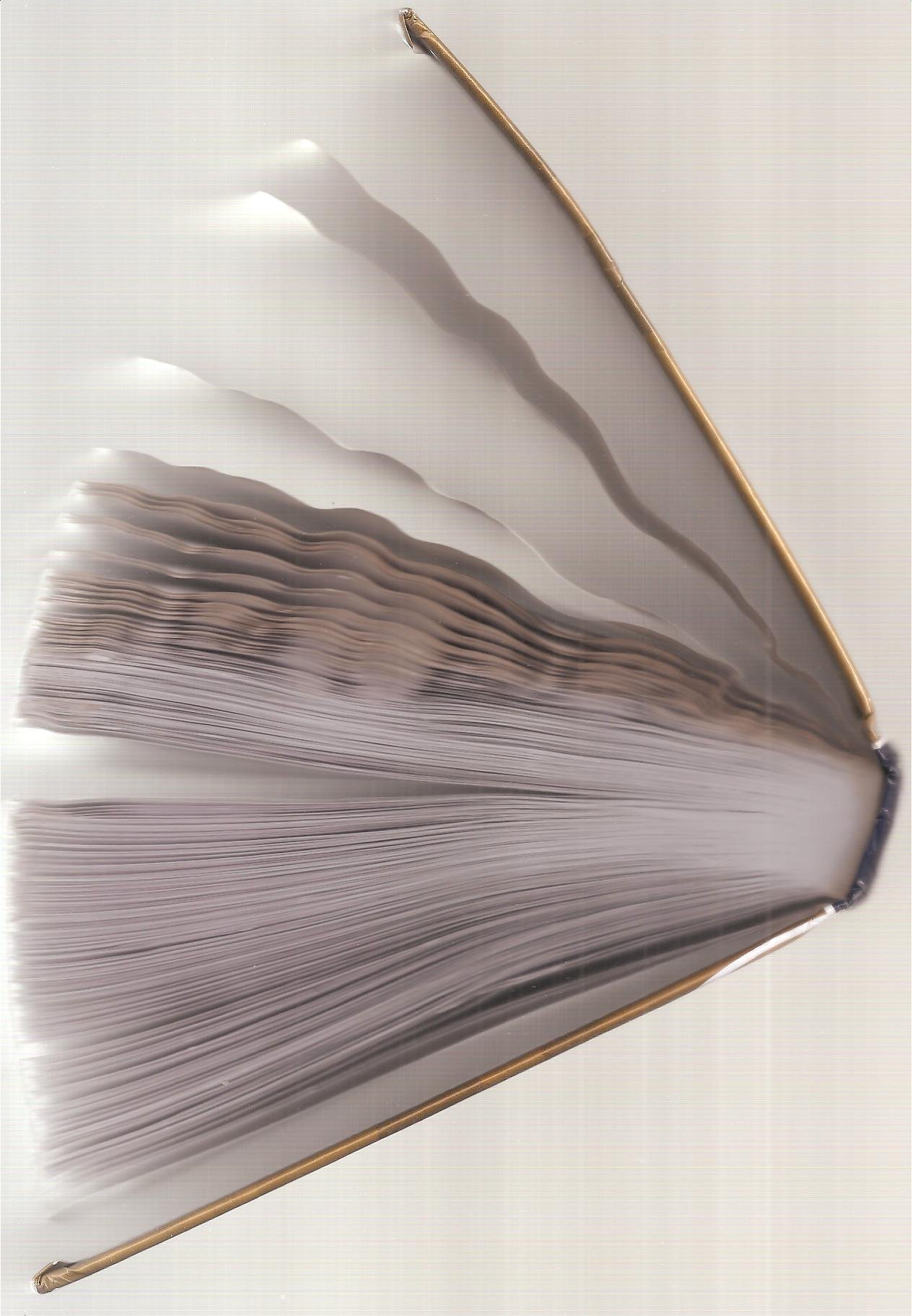 Program Management for Improved Business Results