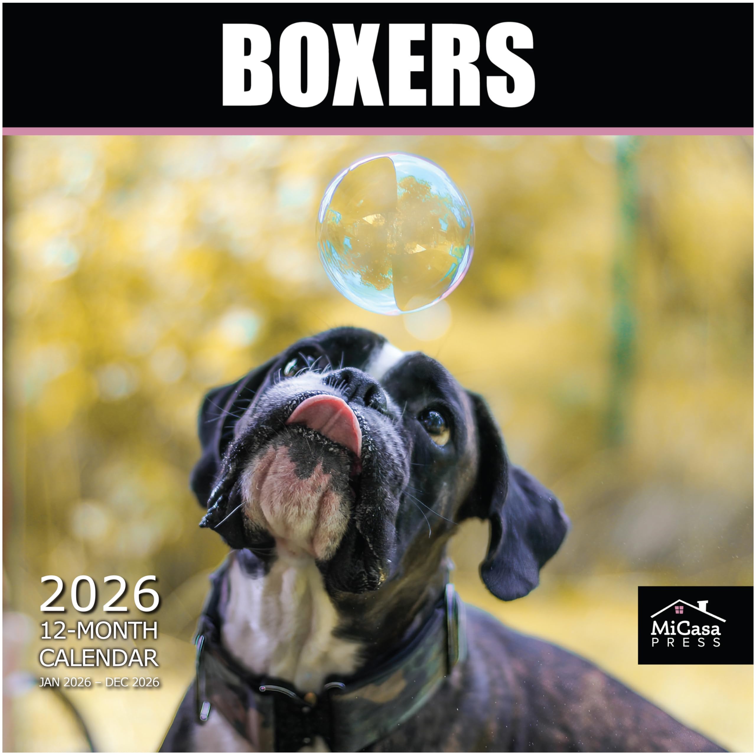 MICASA Boxers Wandkalender 2026, 12 Monate, 30,5 x 61 cm offen, dickes und stabiles Papier, Geschenk, Kalender 2026