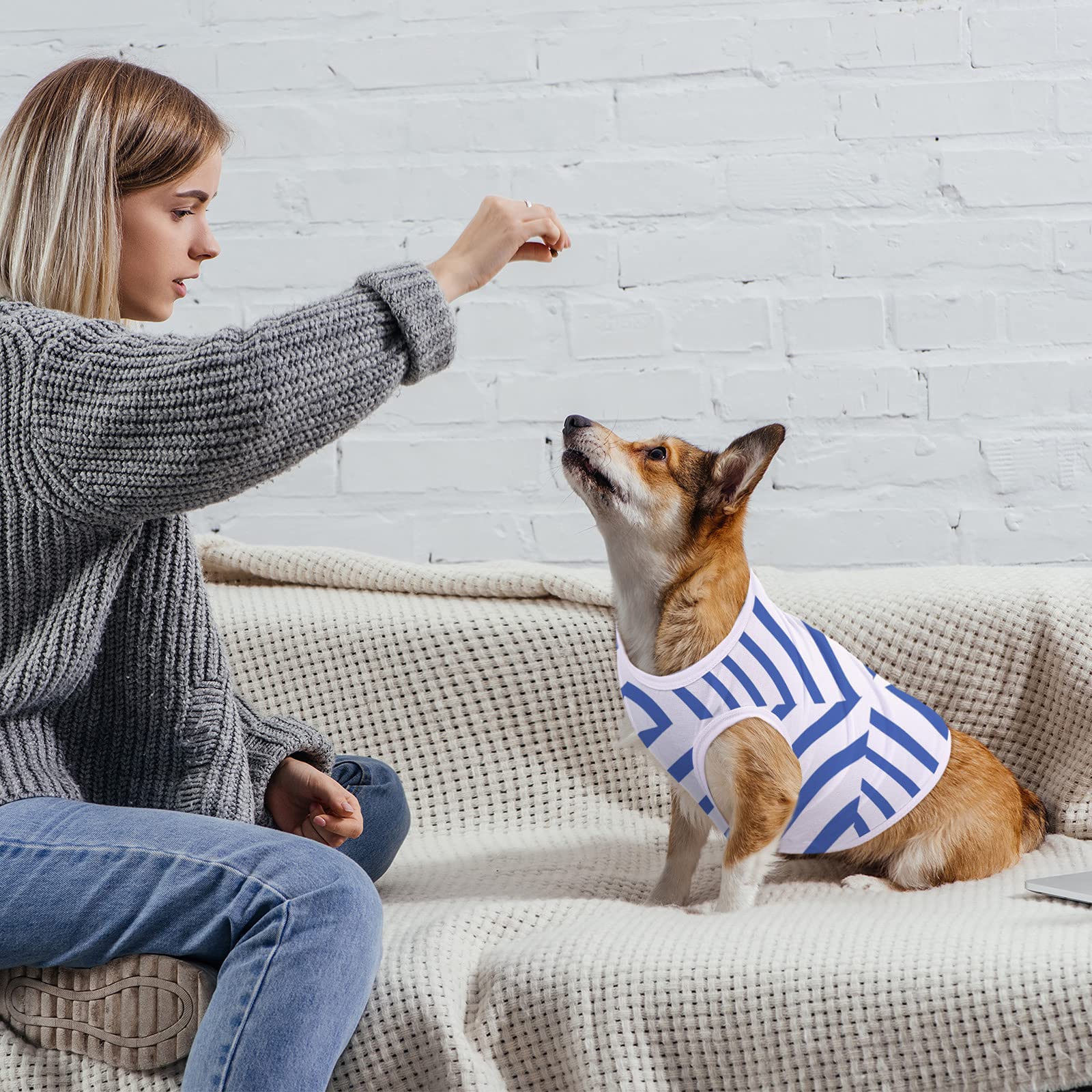 sublimation dog shirts