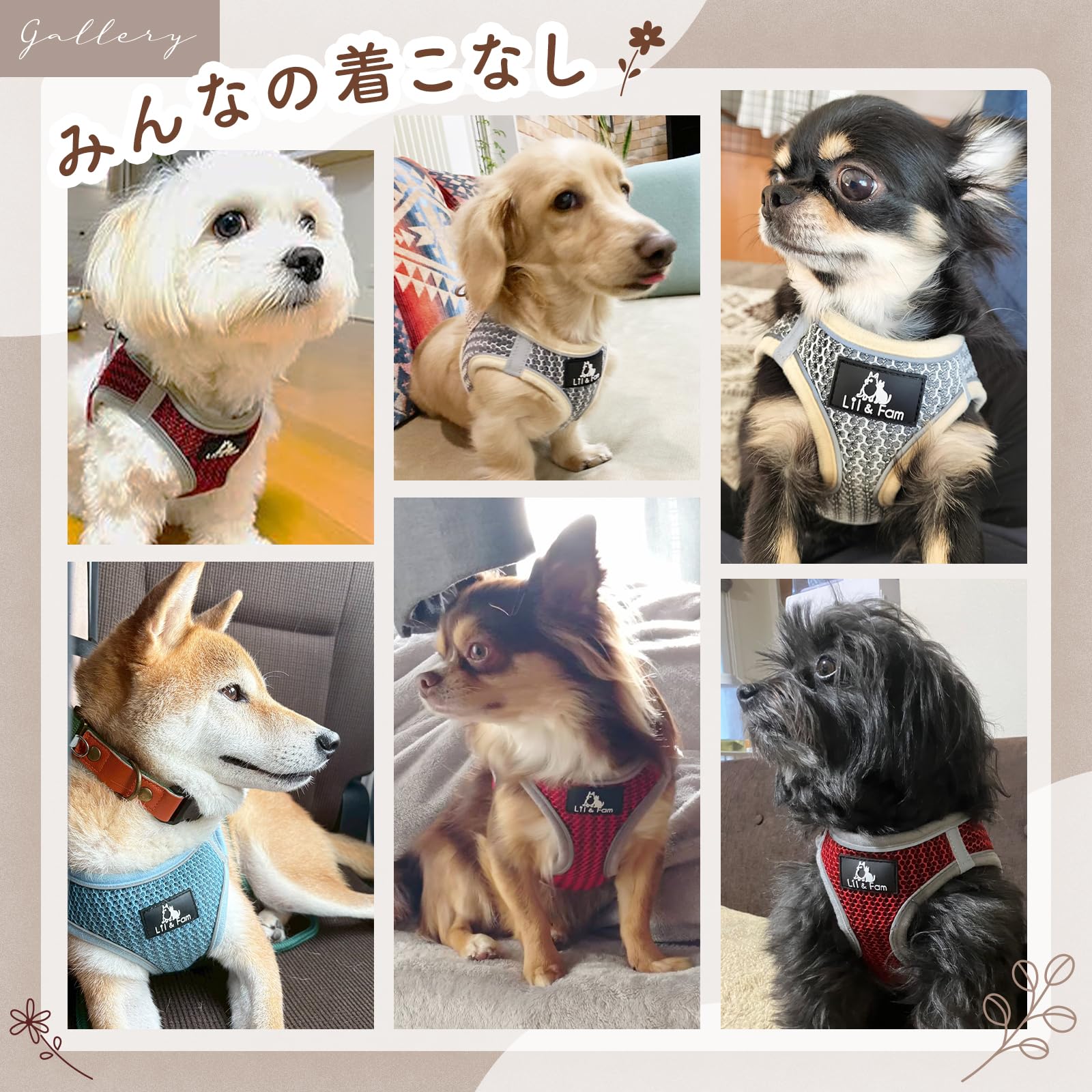 Amazon | Lil&Fam 犬 ハーネス 胴輪 リードセット 身体に優しい 反射材