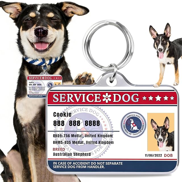 Foto 3 de 6 de Personalizada Etiquetas de Identificación para Mascotas