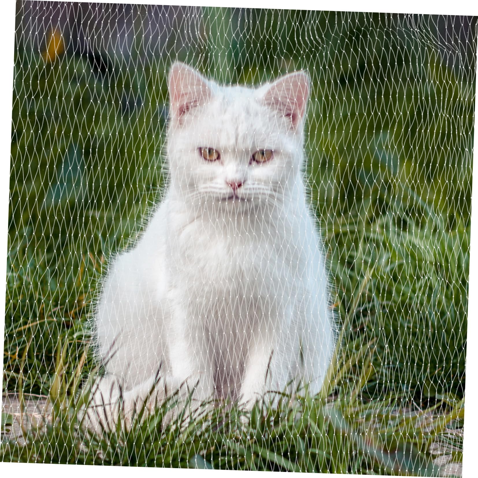 Abaodam Katzenschutznetz für Balkon Fenster Terrasse Dach Schornsteinöffnung und Schrauben ohne Bohren Engmaschig Strapazierfähiges Nylon