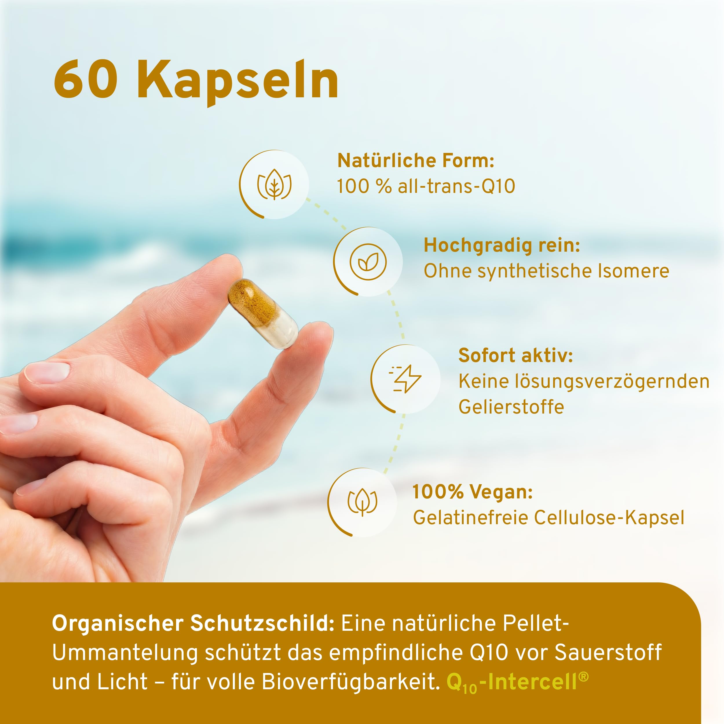 Coenzym Q10 Intercell mit Ubichinol Pellets - Hochdosiert & exzellente Bioverfügbarkeit (Humanstudie) – 60 Kapseln mit Selen, Vitamin C & E – Innovatives 2-Phasen System ohne Gelatine