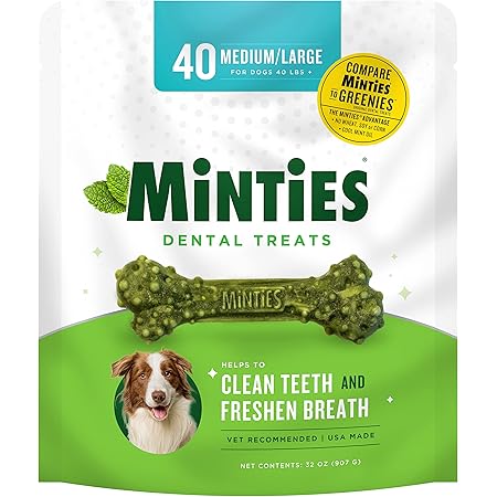 dr lyons dental chews