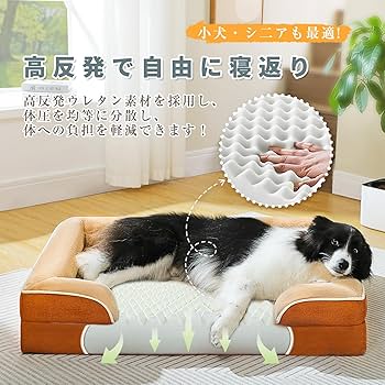 のらいぬページ のらいぬ - 至光社 0歳から100歳までのすべての子どもたちへおくる