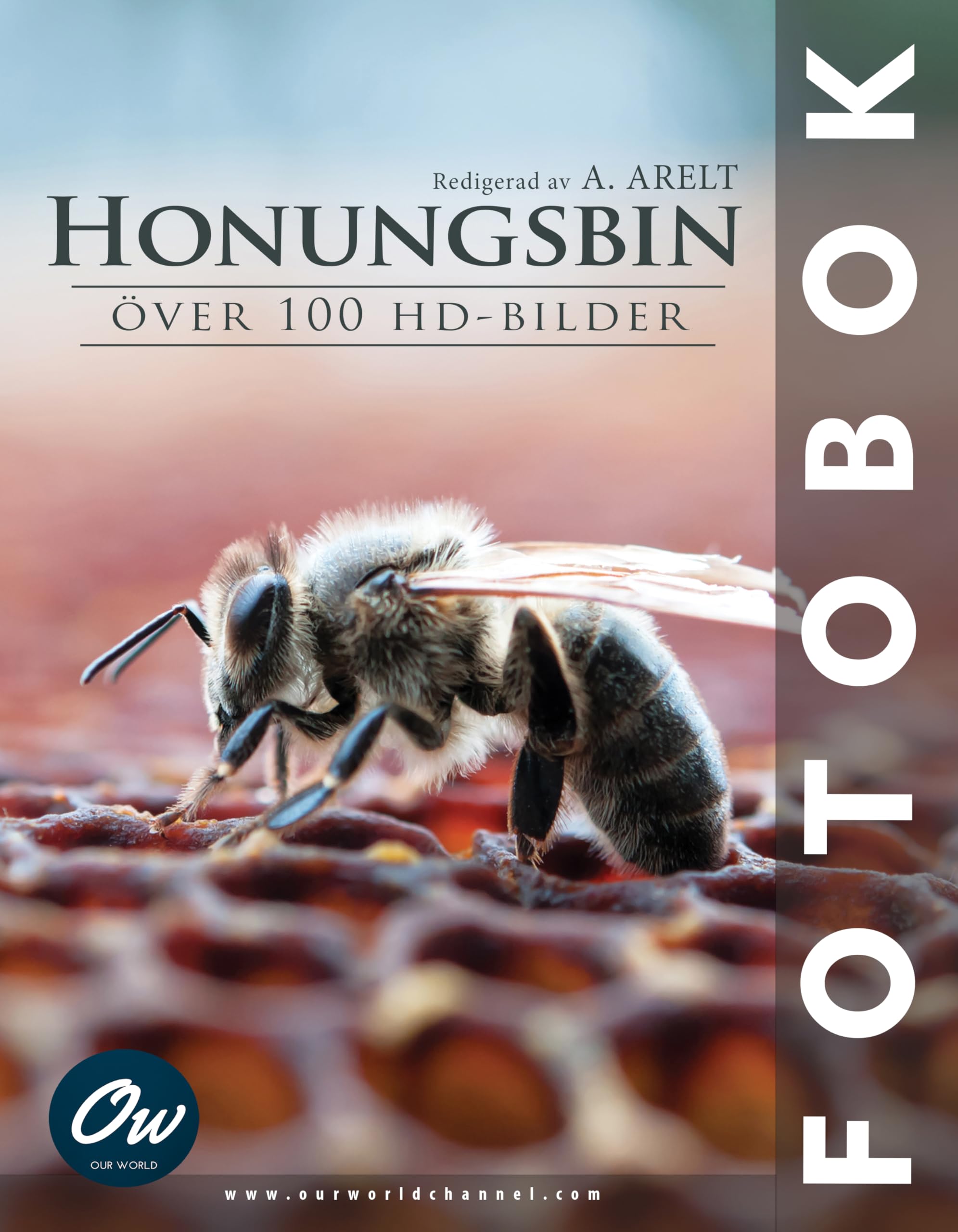 Livre photos abeilles Honungsbin album illustré nature