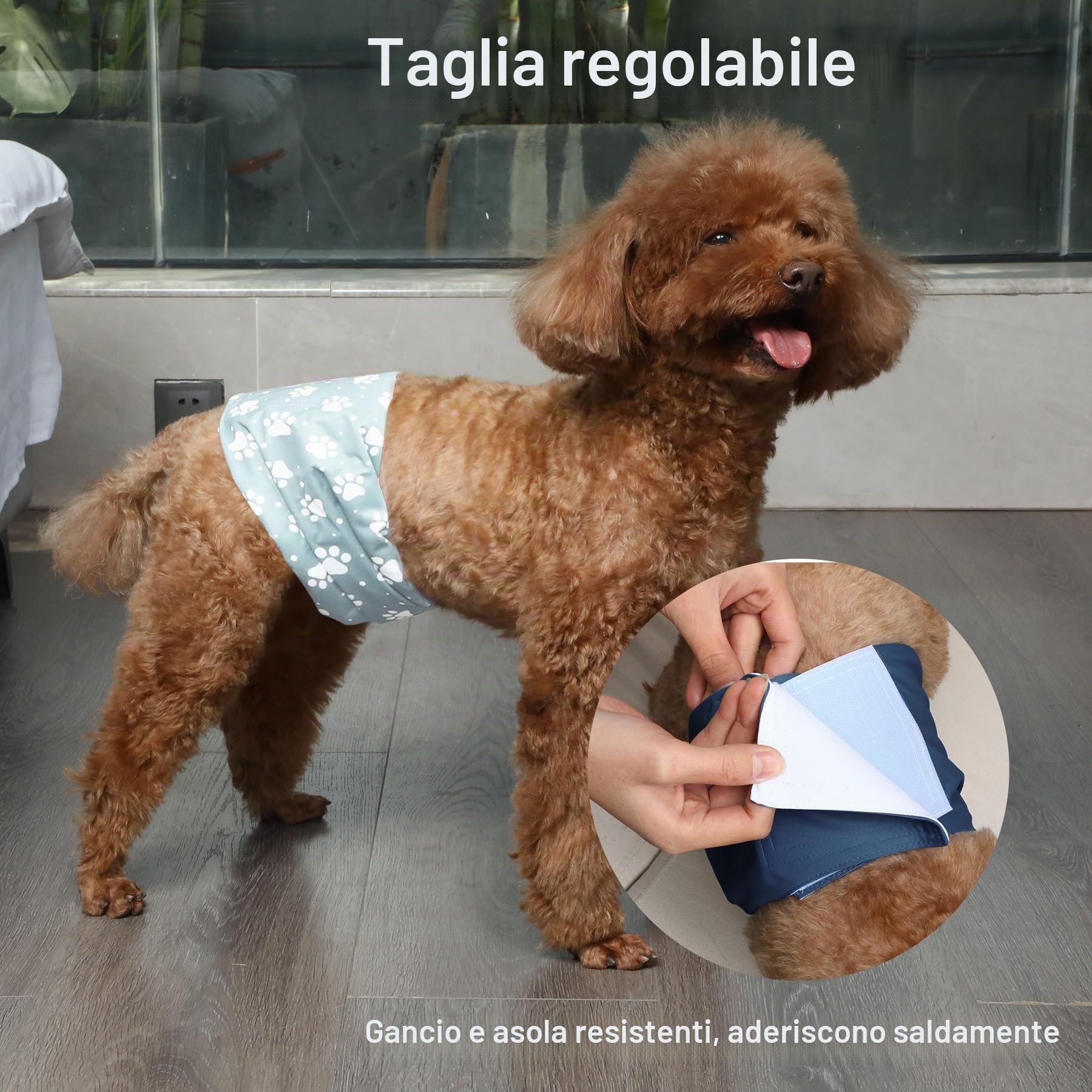 JoyDaog Fasce per Pancia Riutilizzabili per Cani Maschi Pannolini, Confezione da 5 Pannolini Lavabili Premium per Cani Maschi Fasce Pannolino per Cuccioli, S