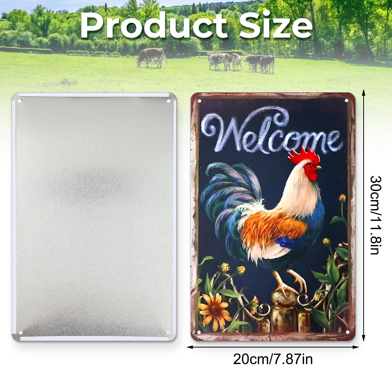 Confezione 2 Cartelli In Metallo Con Pollo – Decorazione Divertente Per Pollaio, Fattoria, Cucina – 20,3x30,5 Cm – Regalo Per Amanti Dei Polli