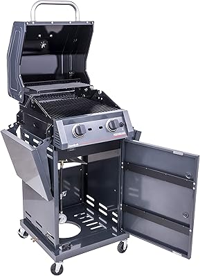 The Best Propane Grill Under 300 3 81dFrL9StyL. AC SX289