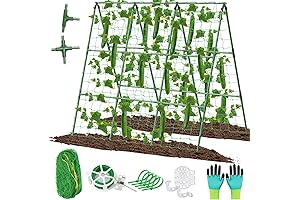 Adjustable Cucumber Trellis for Optimal Climbing
