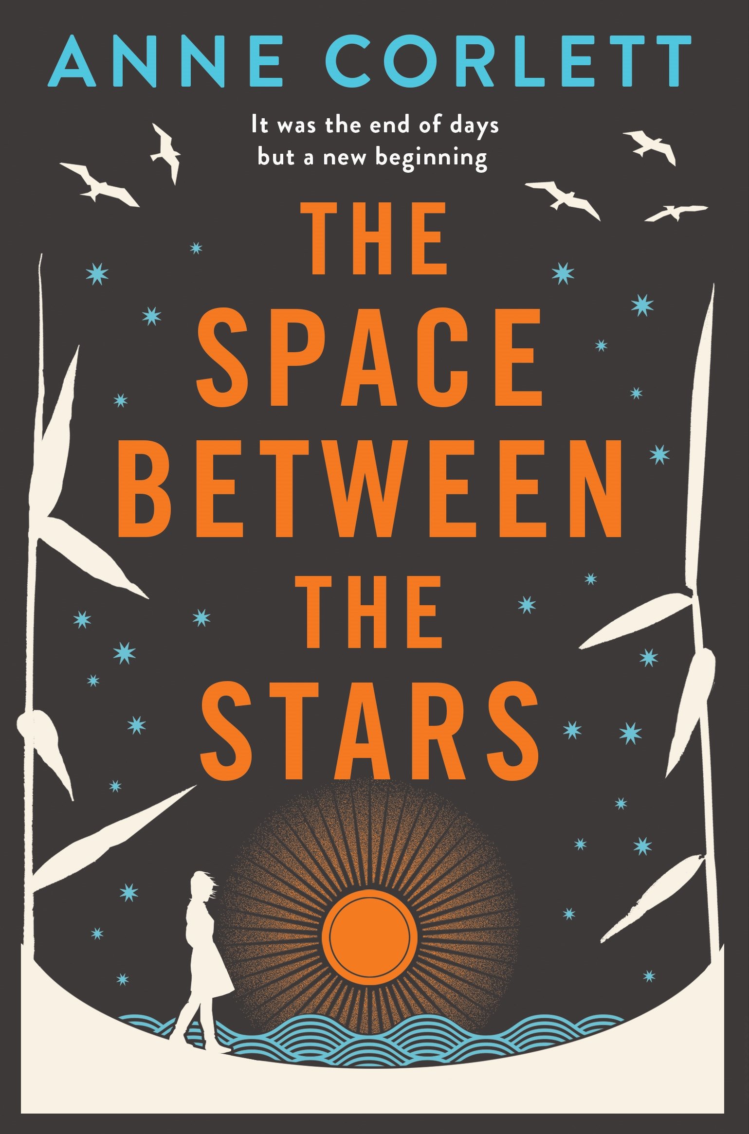 The Space Between the Stars By Anne Corlett. 9781509833559