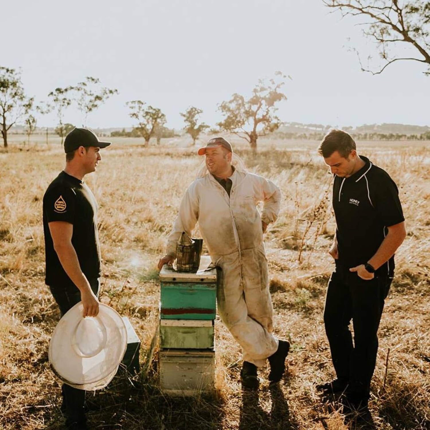 Bee Power Manuka Honey Lozenges | MGO 500+ Manuka Honey Drops | Contains 40 Lozenges Ginger Lemon Flavor | 6.7 Oz