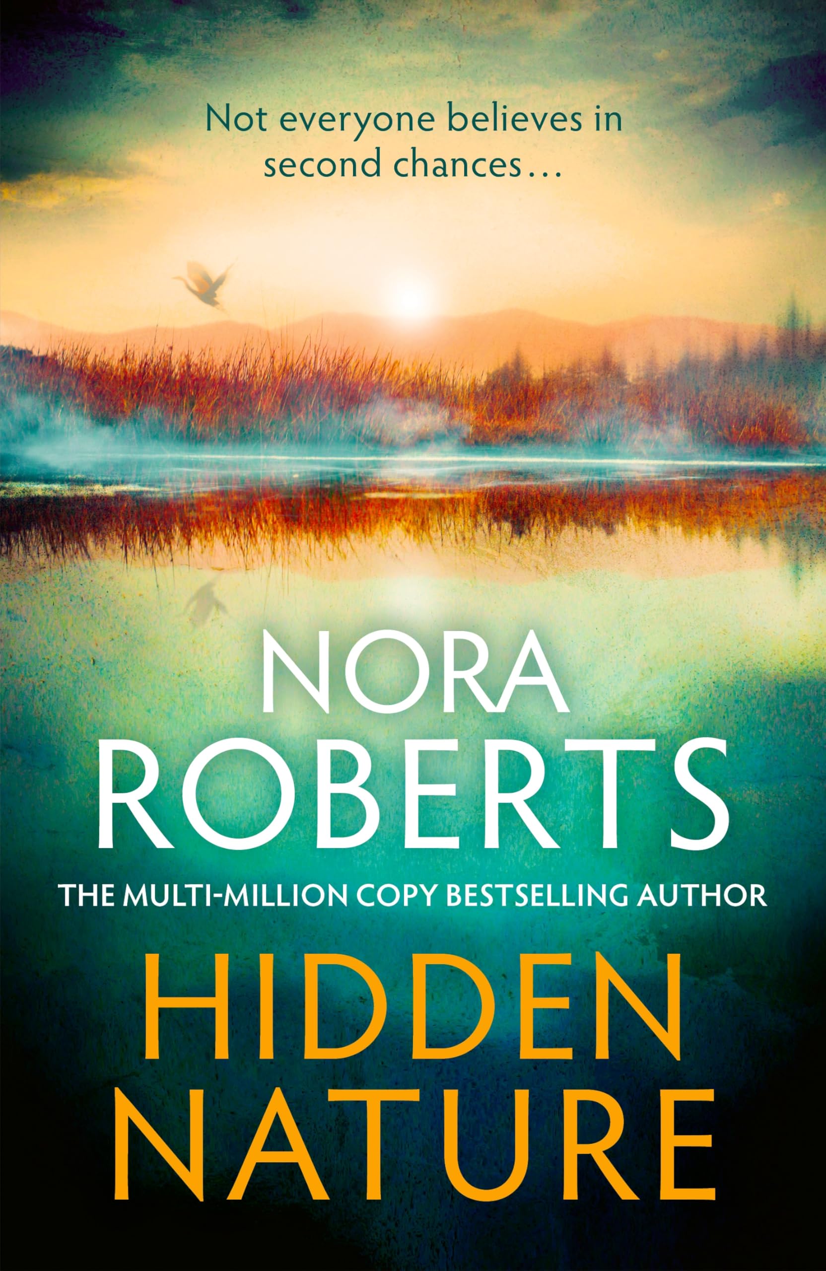 Hidden Nature