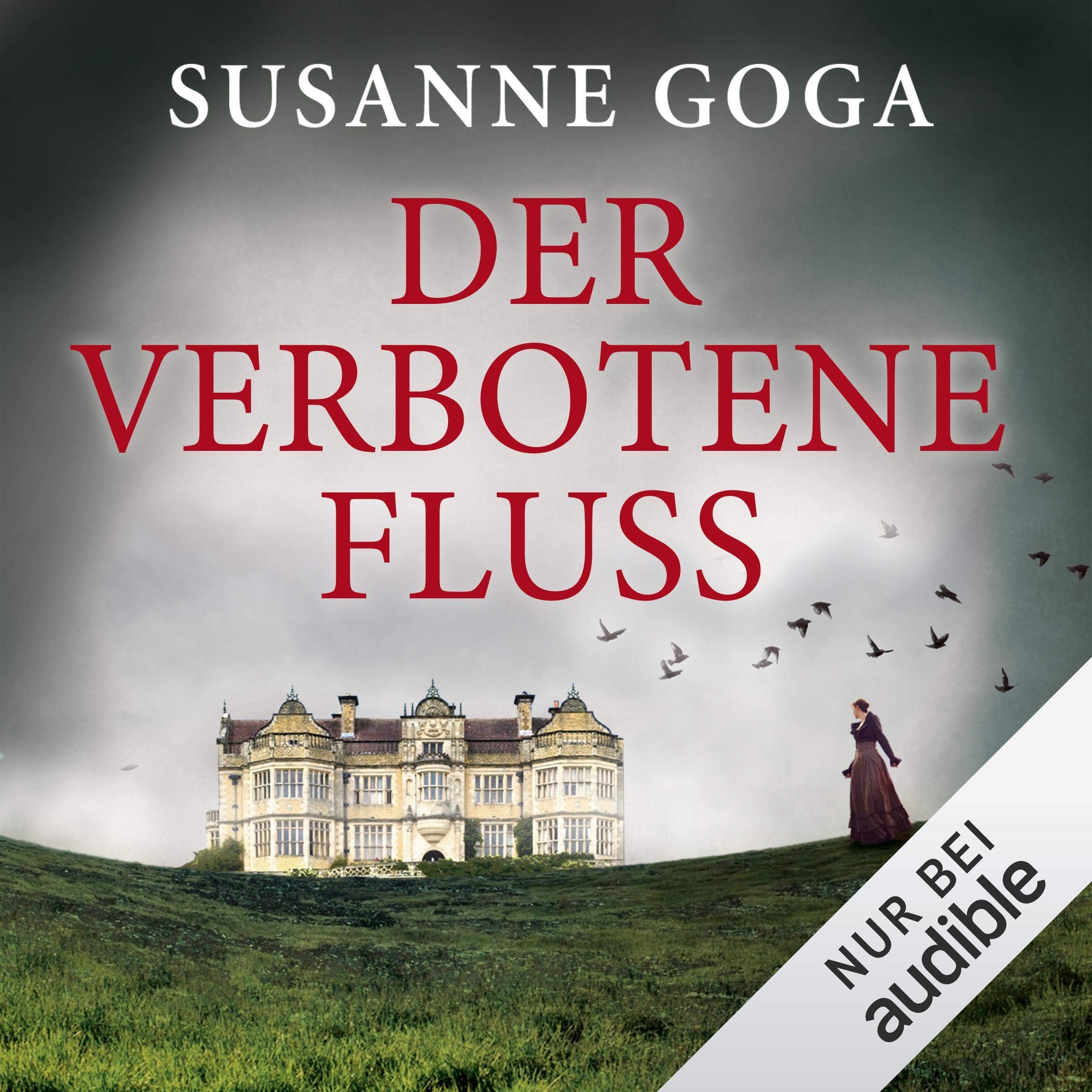 Cover art for Der verbotene Fluss