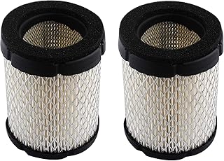140-3280 air filter for Onan Generator Air Filter 3600 4000 MicroQuiet Micro Quiet Replace140-3280 48-2017 (2 Pack) by Lucky Seven