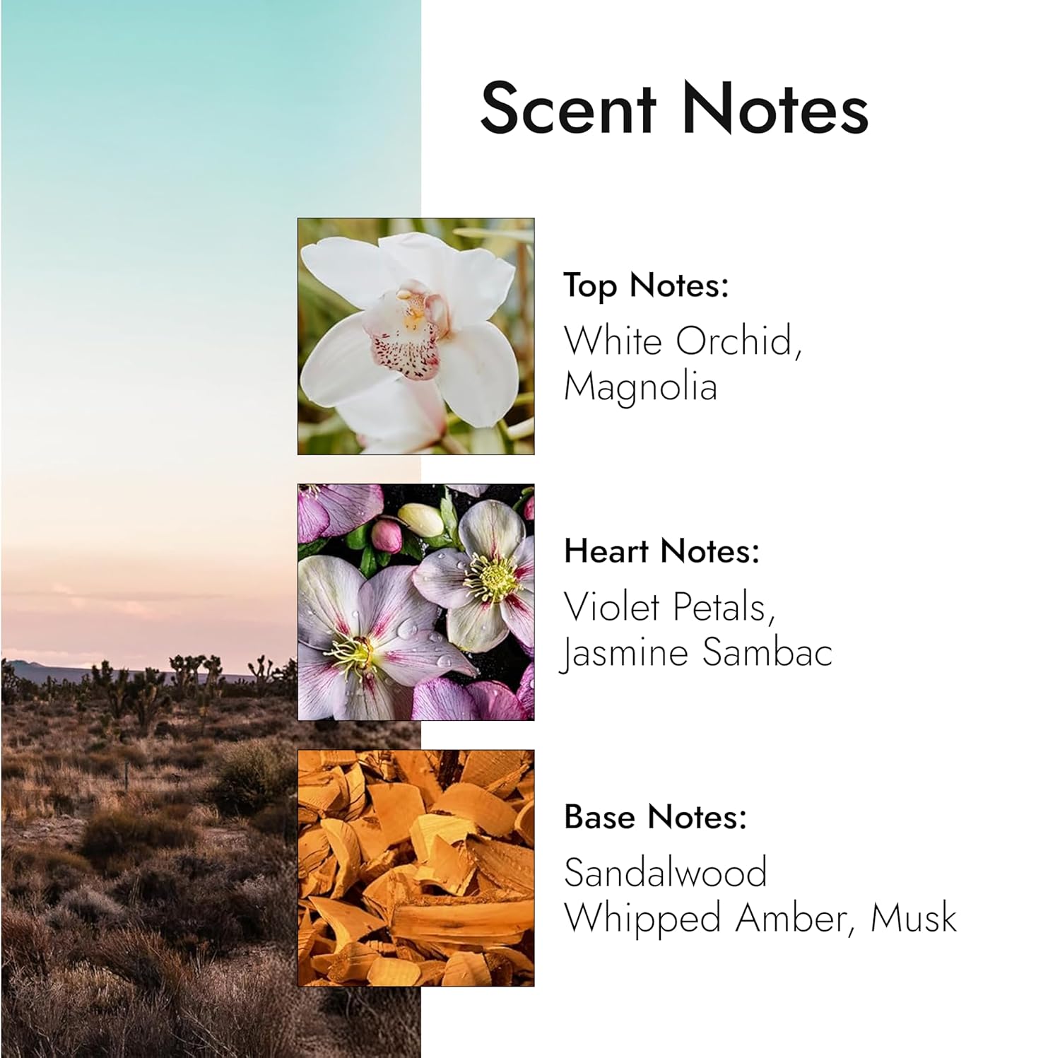 Modern Memory Mojave Flower Eau de Parfum for Women, 2.5 fl oz - Notes of Magnolia, Sandalwood & Musk - Image 4