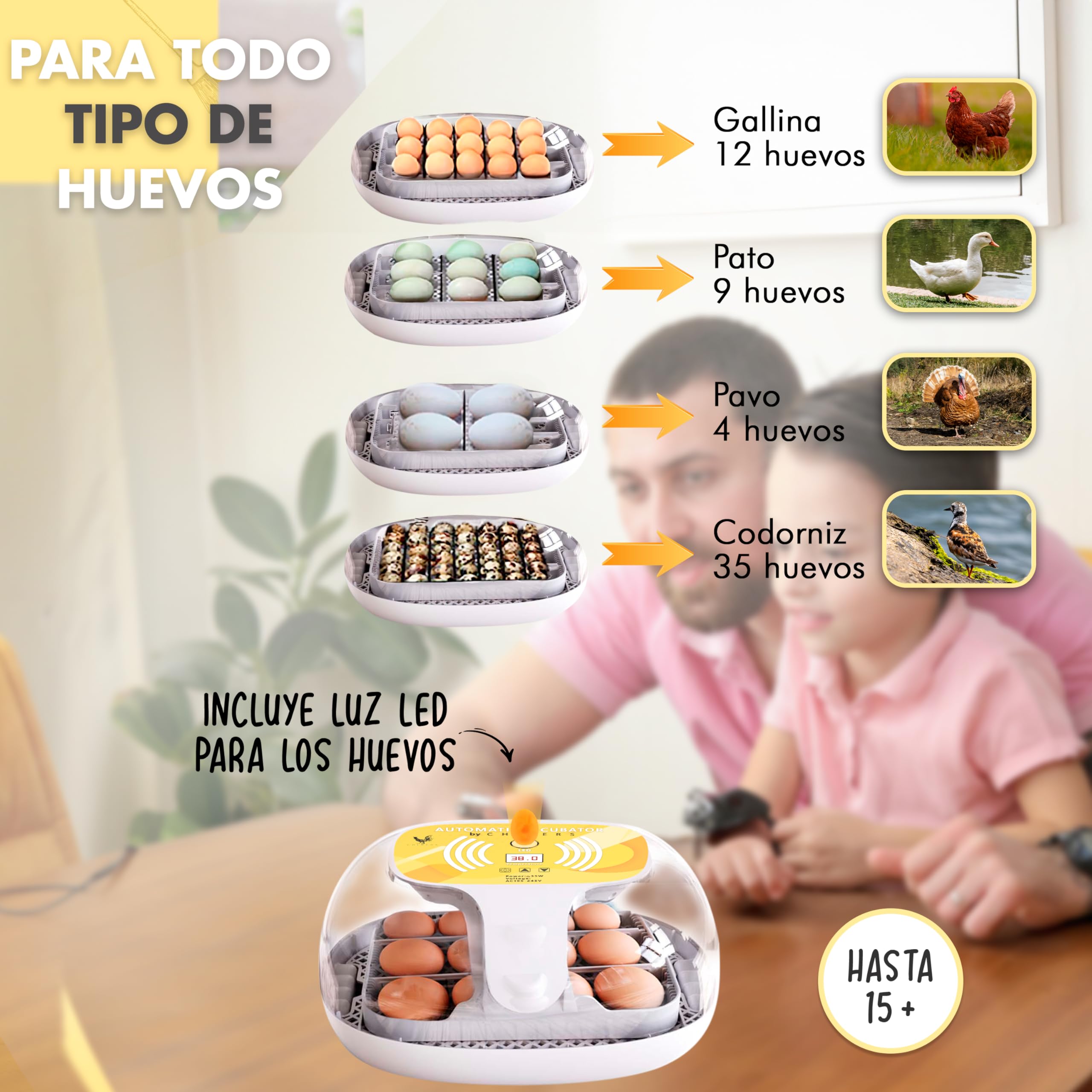 Incubadora Automática de Huevos Gallina, Aves y Pollos | para 12-35 Huevos | Rotación Automática y Control de Temperatura | Incubadora para Corrales y Uso doméstico | Nuevo Modelo 2025